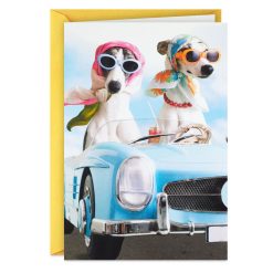Hallmark - A Sun-in-Your-Face Kind of Day Funny Birthday Card