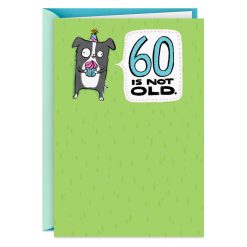 Hallmark - 60" Is Not Old Funny 60th Birthday Card