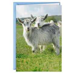 Hallmark - Crazy Kids in Love Funny Anniversary Card