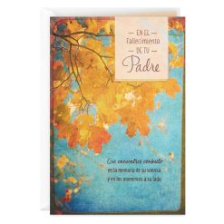 Hallmark - Comfort in Memories Spanish-Language Sympathy Card for Loss of Father