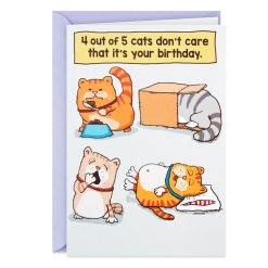 Hallmark - Cats Don't Care Funny Birthday Card