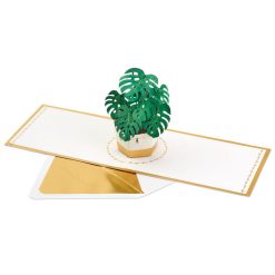 Alternative view of Hallmark - Plant in Pot 3D Pop-Up Thinking of You Card