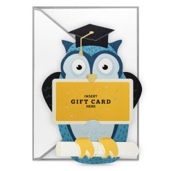 Hallmark - Owl Amazing You Paper Craft Money Holder Graduation Card