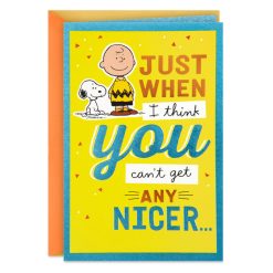 Hallmark - Peanuts Charlie Brown and Snoopy So Very You Thank You Card