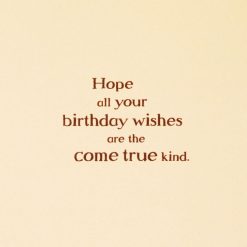 Alternative view of Hallmark - Disney Winnie the Pooh Hope Your Wishes Come True Birthday Card