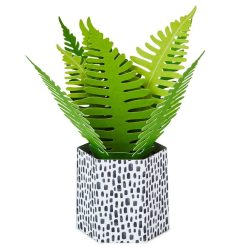 Alternative view of Hallmark - Fern Rooting for You 3D Pop-Up Thinking of You Card