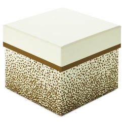 Hallmark - 5" Square Champagne Bubbles on Ivory Gift Box