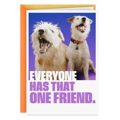 Hallmark - That One Friend Funny Friendship Card