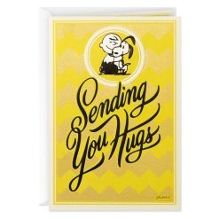 Hallmark - Peanuts Charlie Brown and Snoopy Sending Hugs Get Well Card