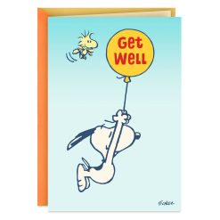 Hallmark - Peanuts Snoopy and Woodstock Hang in There Get Well Card