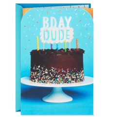 Hallmark - Dude, Lucky to Have You Birthday Card for Him