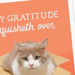 Alternative view of Hallmark - My Gratitude Squisheth Over Thank You Card