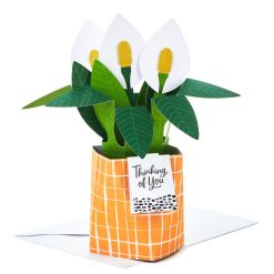 Hallmark - Peace Lily Love You 3D Pop-Up Thinking of You Card