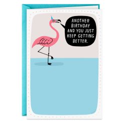 Hallmark - Years of Practice Funny Birthday Card