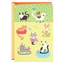 Hallmark - Cute Cats Blank Card