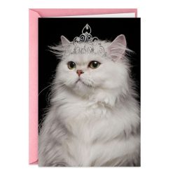 Hallmark - You're the Damn Queen Funny Birthday Card