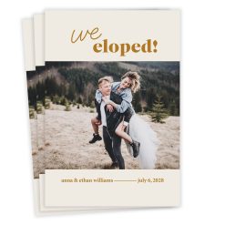 Hallmark - We Eloped Minimalist Flat Wedding Announcement