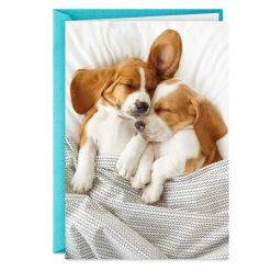 Hallmark - Still the Cutest Anniversary Card for Couple