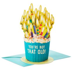 Hallmark - You're Not That Old Funny 3D Pop-Up Birthday Card