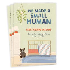 Hallmark - We Made a Small Human Birth Announcement