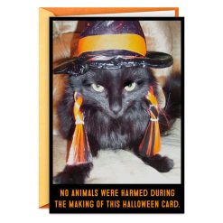 Hallmark - Angry Black Cat in Witch's Hat Funny Halloween Card