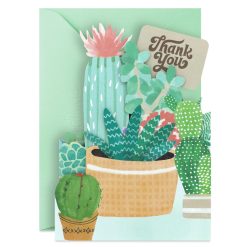 Hallmark - Succulents Collection Blank Thank You Notes, Pack of 8