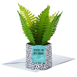 Hallmark - Fern Rooting for You 3D Pop-Up Thinking of You Card