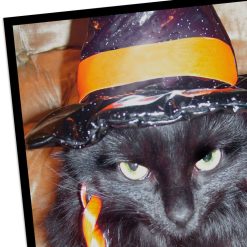 Alternative view of Hallmark - Angry Black Cat in Witch's Hat Funny Halloween Card
