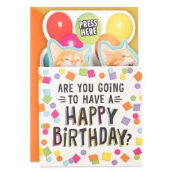 Hallmark - Singing Cats Funny Musical Pop-Up Birthday Card
