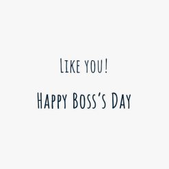 Alternative view of Hallmark - You Make a Difference Boss's Day Card