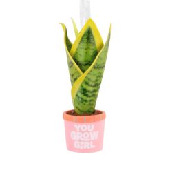 Hallmark - You Grow Girl Houseplant Hallmark - Ornament