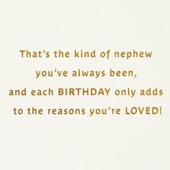 Alternative view of Hallmark - All the Reasons You're Loved Birthday Card for Nephew