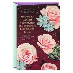 Hallmark - So Happy to Celebrate You Spanish-Language Birthday Card for Wife