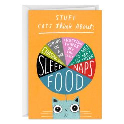 Hallmark - Stuff Cats Think About Pie Chart Funny Blank Card