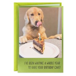Hallmark - Dog Years Waiting for Cake Funny Birthday Card