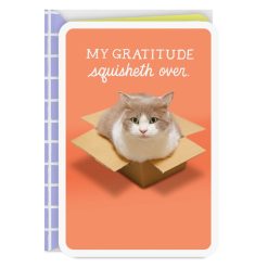 Hallmark - My Gratitude Squisheth Over Thank You Card