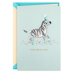 Hallmark - You're One of a Kind Zebra Birthday Card