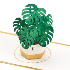 Hallmark - Plant in Pot 3D Pop-Up Thinking of You Card