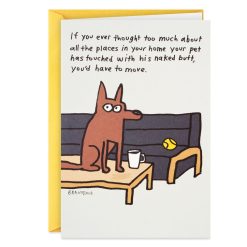 Hallmark - Where the Dog Sits Funny Birthday Card