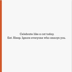 Alternative view of Hallmark - Celebrate Like a Cat Funny Birthday Card