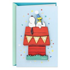 Hallmark - Peanuts Snoopy Laid-Back Day for a Much Loved Son Birthday Card