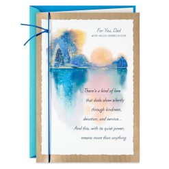 Hallmark - You're Loved and Appreciated Very Much Birthday Card for Dad