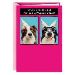 Hallmark - Favorite Bad Influence Funny Birthday Card for Sister