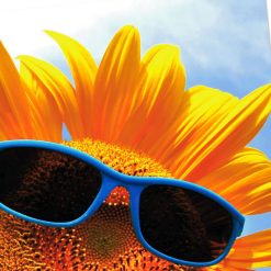 Alternative view of Hallmark - Sunflower in Sunglasses Thinking of You Card