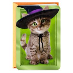 Hallmark - Tabby Cat in Witch Hat Halloween Card