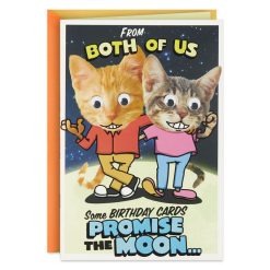 Hallmark - Mooning Cats Funny Pop-Up Birthday Card From Both