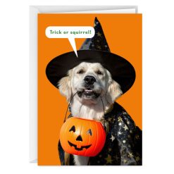 Hallmark - All Your Favorite Treats Funny Halloween Card