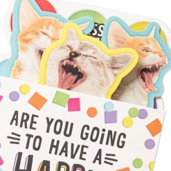 Alternative view of Hallmark - Singing Cats Funny Musical Pop-Up Birthday Card