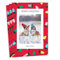 Hallmark - Bold String Lights Flat Christmas Photo Card