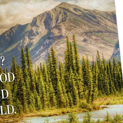 Alternative view of Hallmark - Max Lucado Let God Be God Assorted Religious Thinking of You Cards, Box of 12